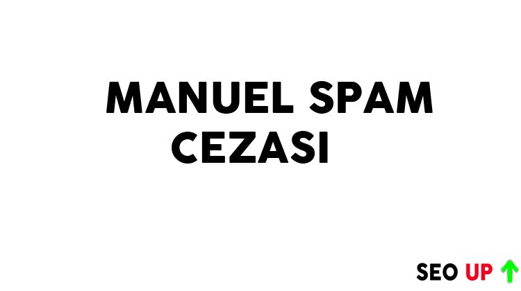 Manuel Spam Cezası Nedir?