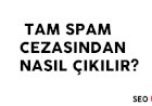 Tam Spam Cezasından Nasıl Çıkılır?
