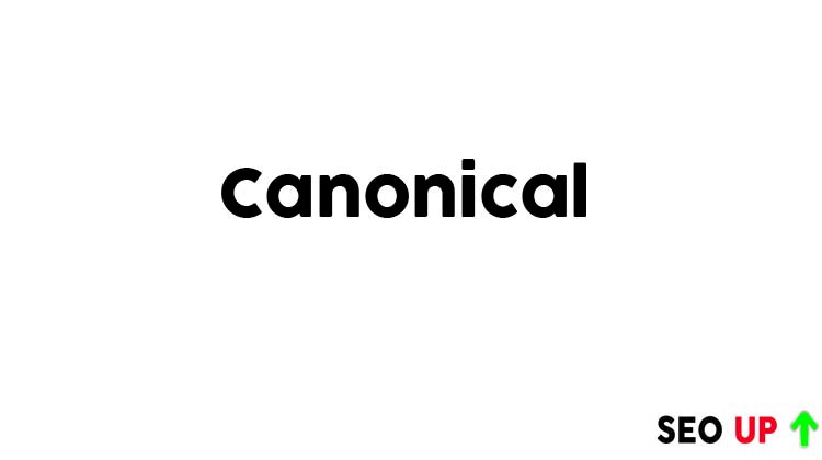 Canonical Nedir? SEO Açısından Neden Bu Kadar Önemlidir?