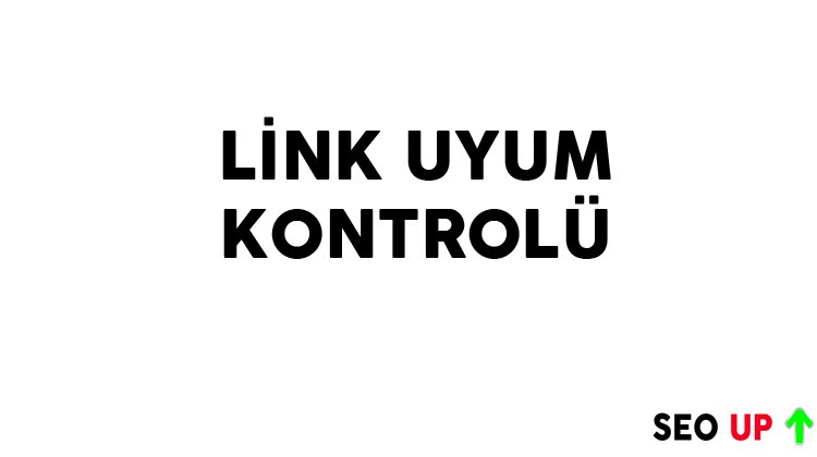 Link Uyum Kontrolü Nedir? SEO İçin Neden Önemlidir?