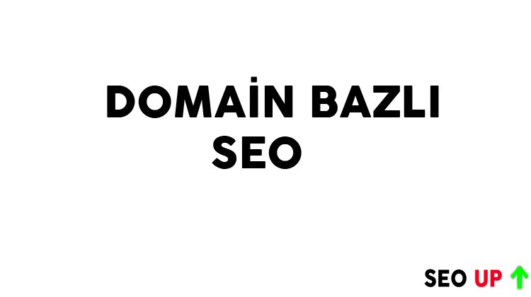Domain Bazlı Seo