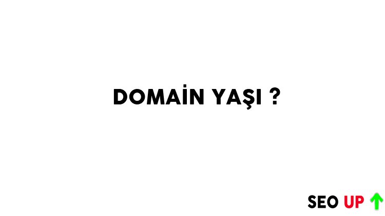 Domain Yaşı Nedir? SEO’ya Etkisi Ne Kadardır?